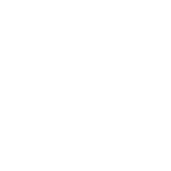 Logótipo - Direção-Geral de Recursos Naturais, Segurança e Serviços Marítimos
