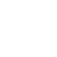 Logótipo - Lurdes Narciso, Lda.