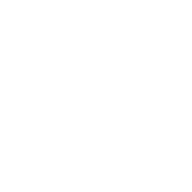 Logótipo - LUIS SILVERIO & FILHOS SA